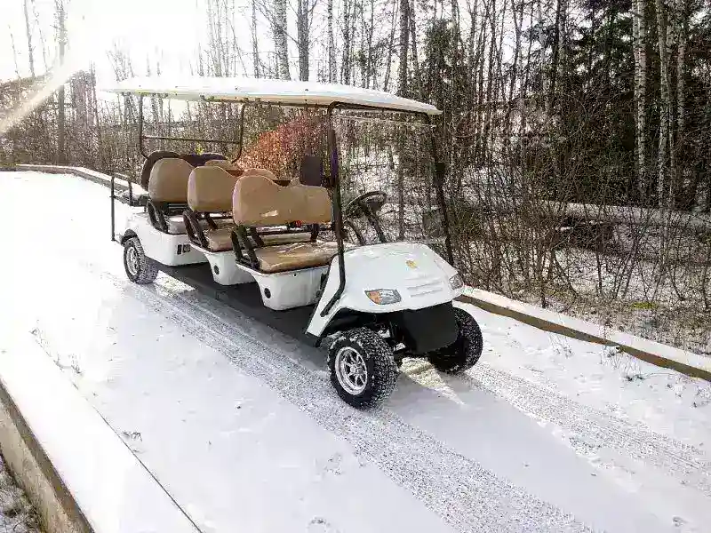 ГОЛЬФКАР Voltus GF6+2