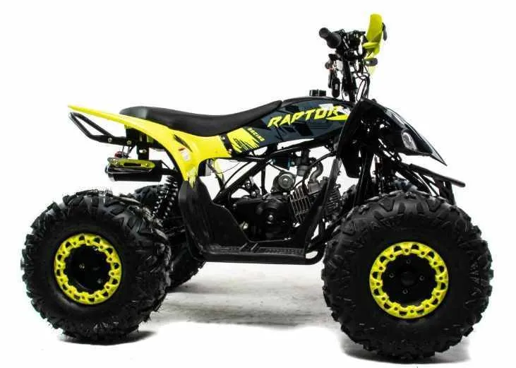 Квадроцикл Motoland 125 RAPTOR A