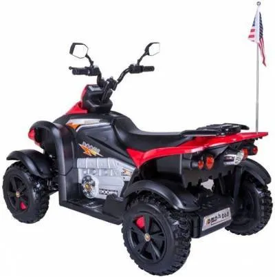 Детский электроквадроцикл Rivertoys P222PP