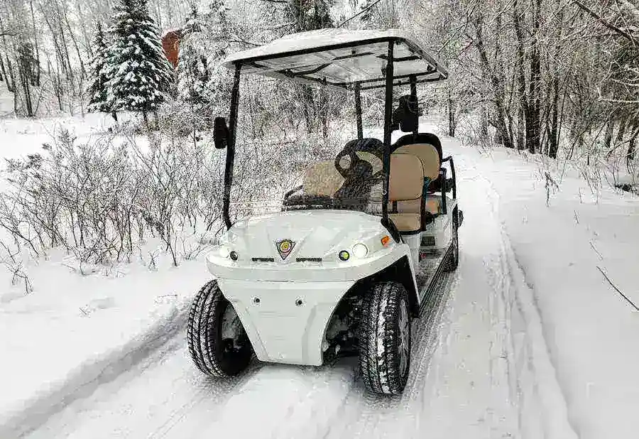 ГОЛЬФКАР КОНКОРДИЯ URBIS 4+2