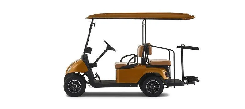 Гольф кар EWAY HM2+2