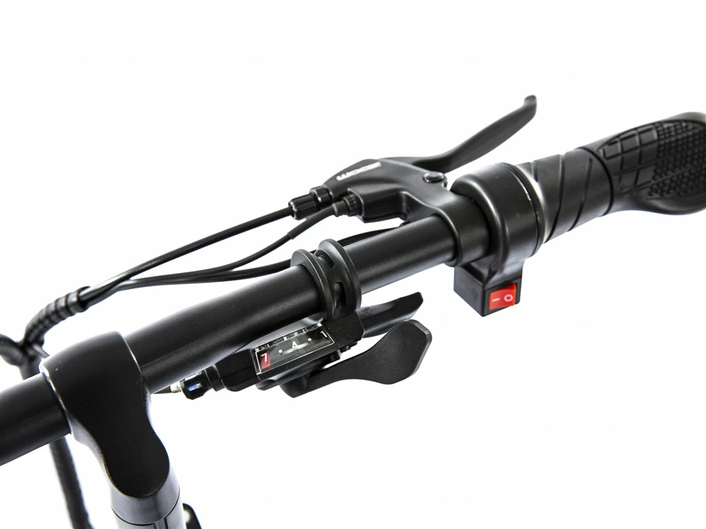 Электровелосипед Elbike Taiga 1 St