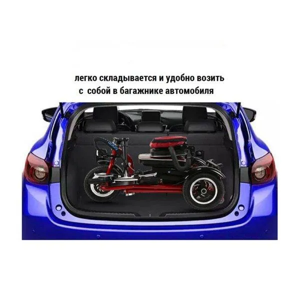 Электротрицикл Elbike Адъютант А2 с сиденьем
