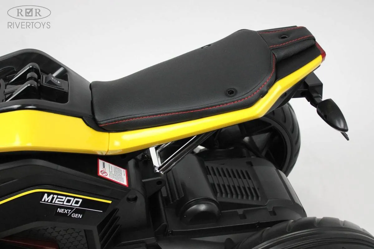 Детский электротрицикл Rivertoys X222XX