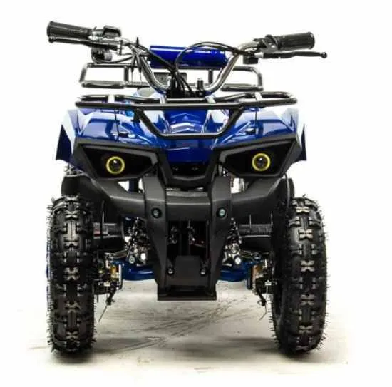Электроквадроцикл Motoland ATV E009 1000W