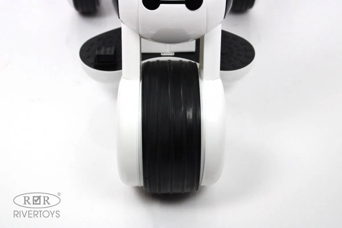 Детский электромотоцикл Rivertoys Moto HL300