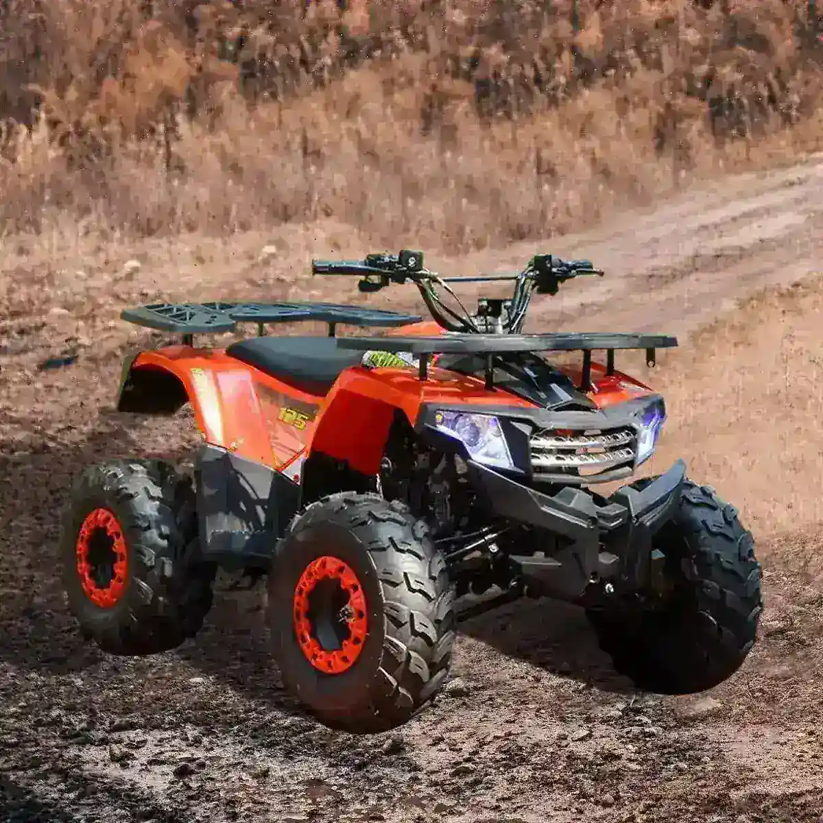 Квадроцикл WELS THUNDER AX 125 PRO
