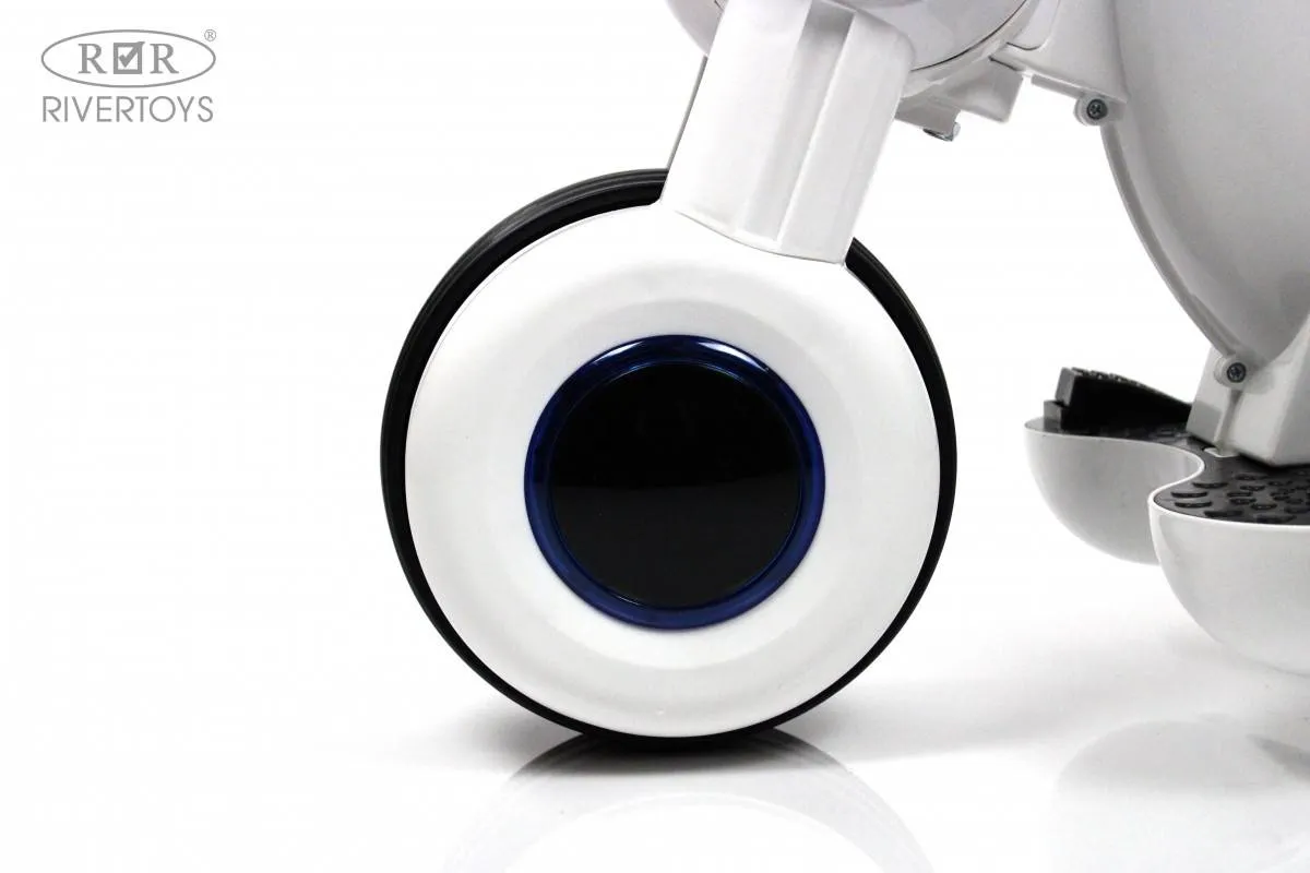 Детский электромотоцикл Rivertoys Moto HL300