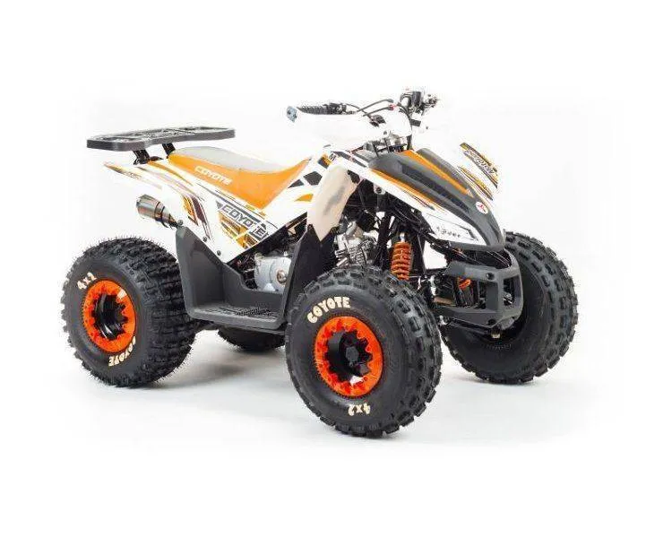 Квадроцикл Motoland 125 COYOTE