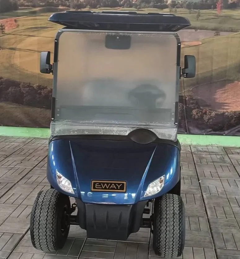 Гольф кар EWAY HM2+2