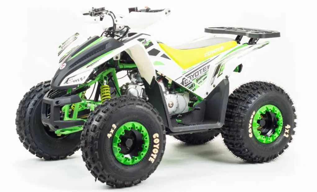 Квадроцикл Motoland 125 COYOTE