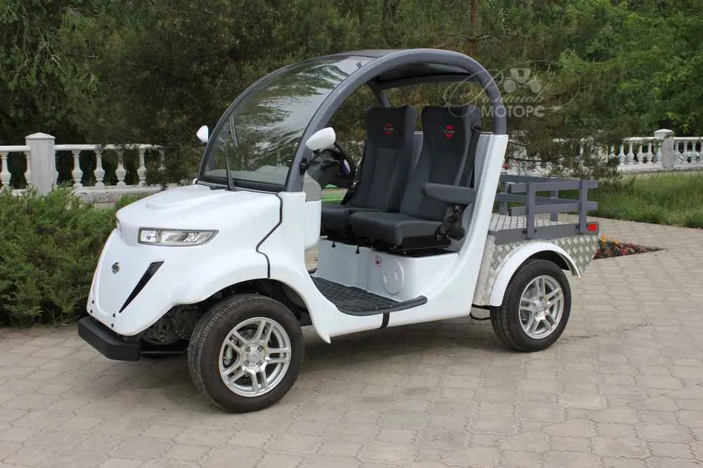 Гольфкар Elecar 5E-TIGARBO 2G