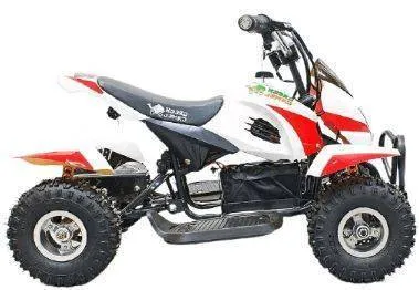 Электроквадроцикл Green Camel Гоби K12 (24V 350W R4 Цепной привод)