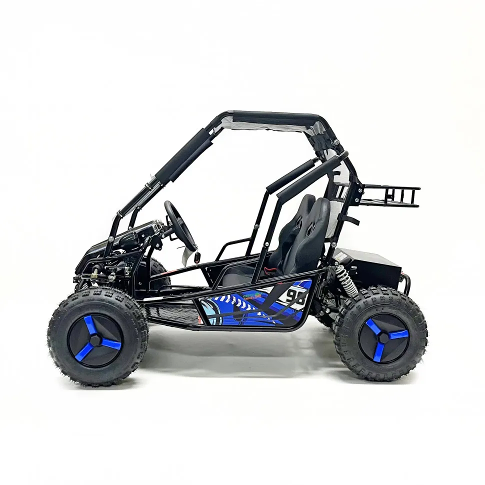 Багги Green Camel Намиб T10 (60V 2000W R8 Дифф)