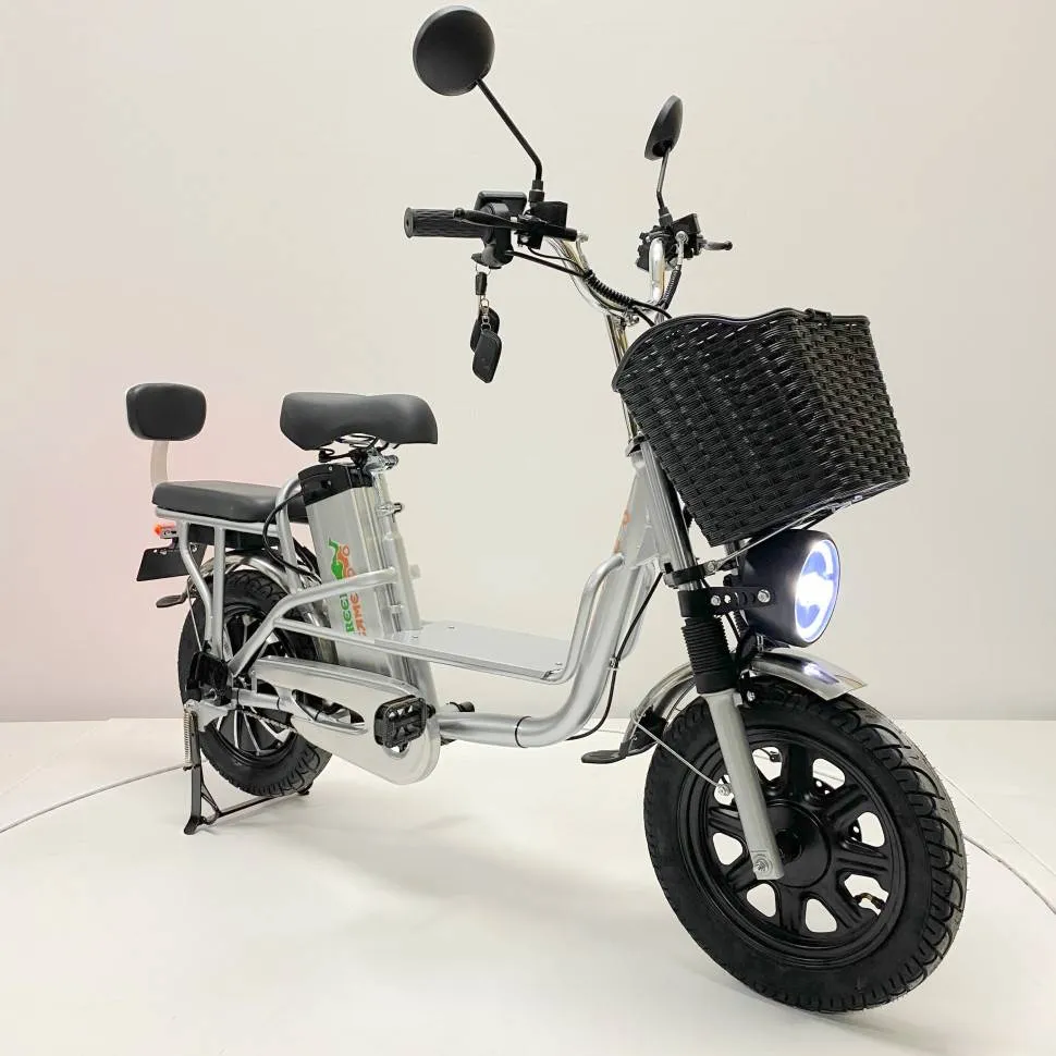Электровелосипед Green Camel Транк Монстр (R16FAT 500W 60V20Ah) гидравлика