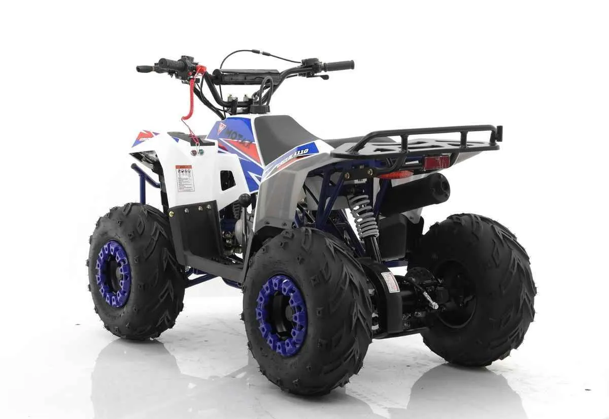 Квадроцикл MOTAX GRIZLIK A110