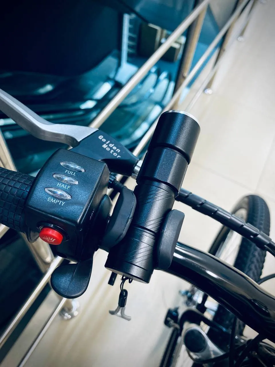 Электровелосипед E-motions Golden Motor 1000W