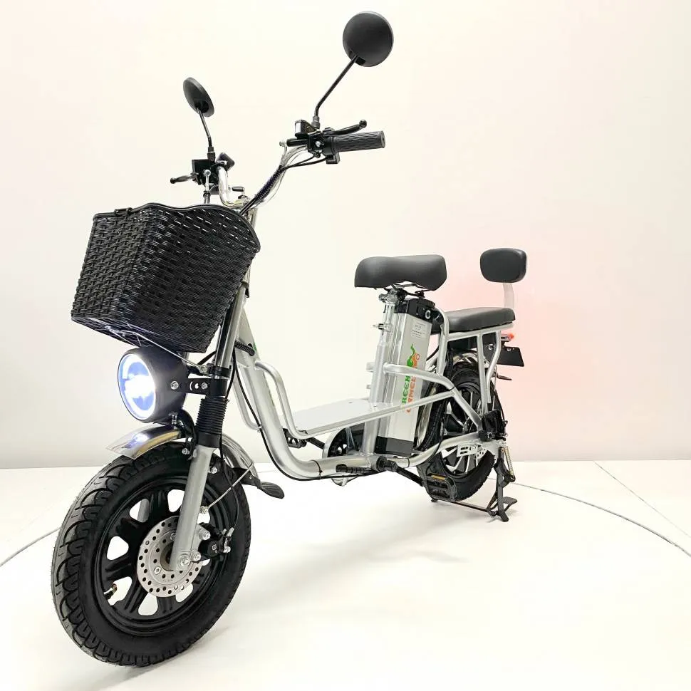 Электровелосипед Green Camel Транк Монстр (R16FAT 500W 60V20Ah) гидравлика