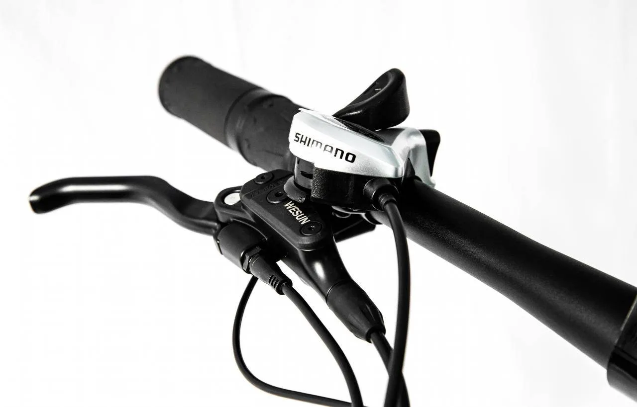 Электровелосипед Elbike Phantom Elite
