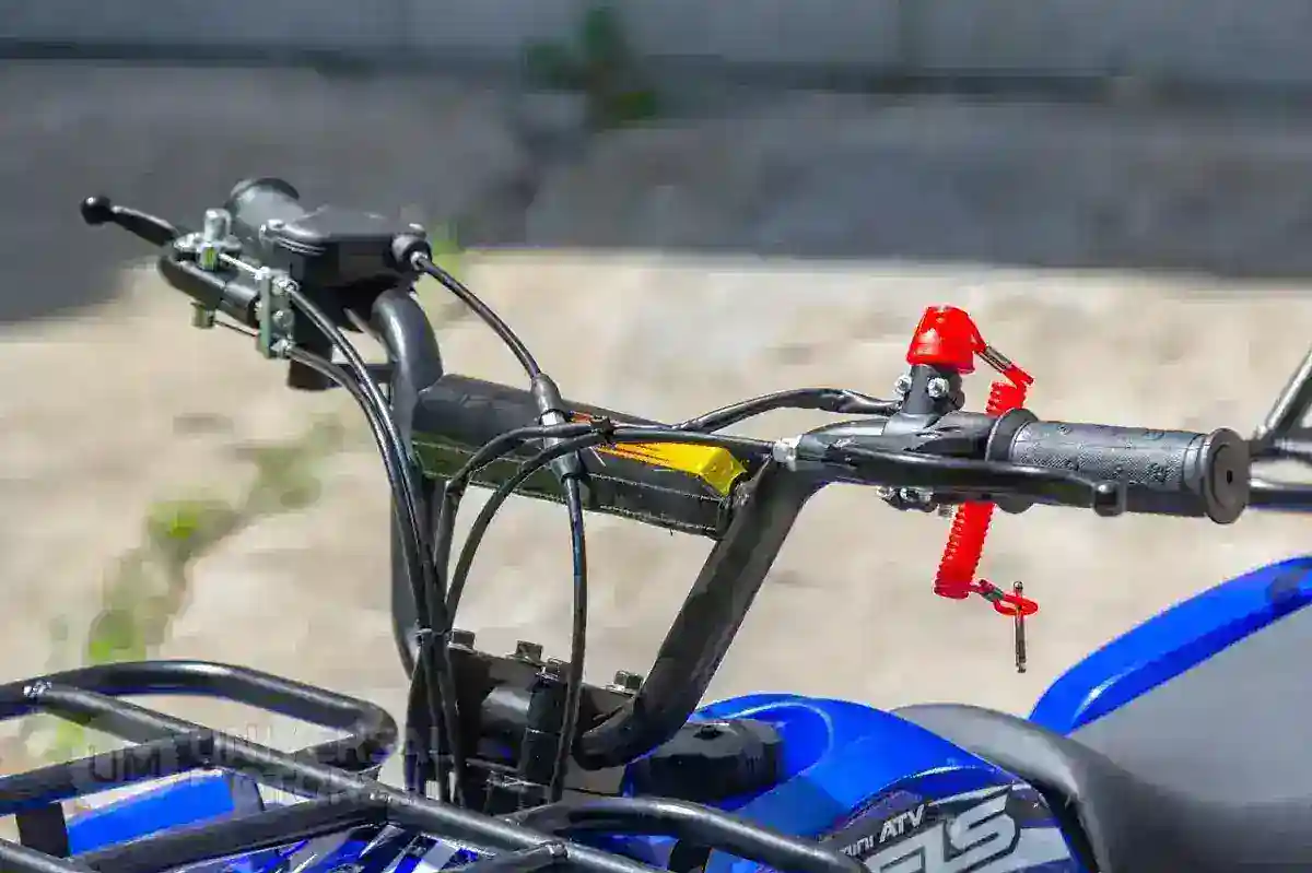 Квадроцикл WELS ATV THUNDER MINI 2T