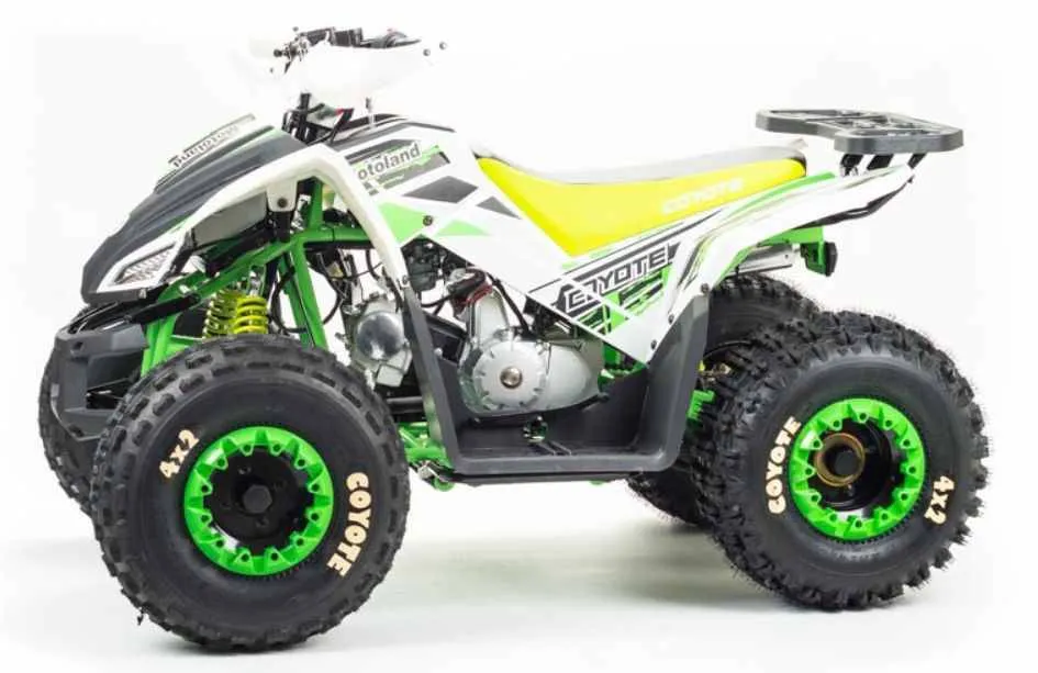 Квадроцикл Motoland 125 COYOTE