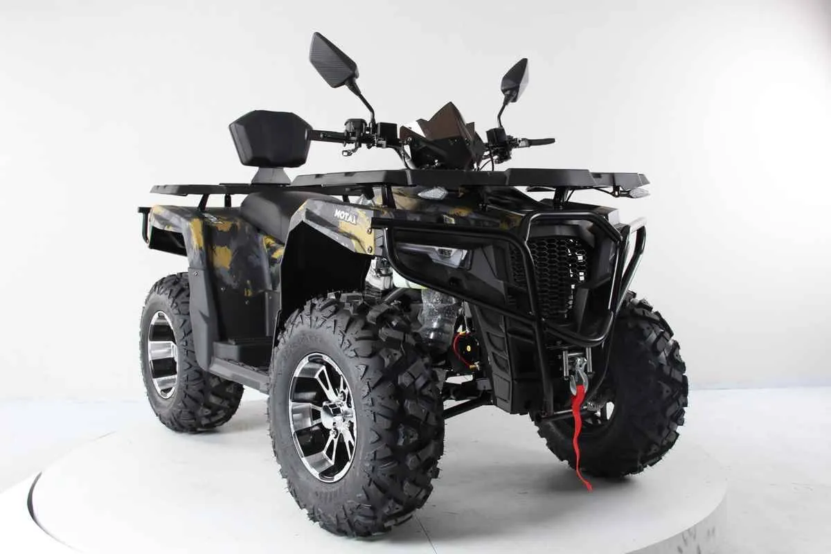 Квадроцикл Motax Grizlik 300