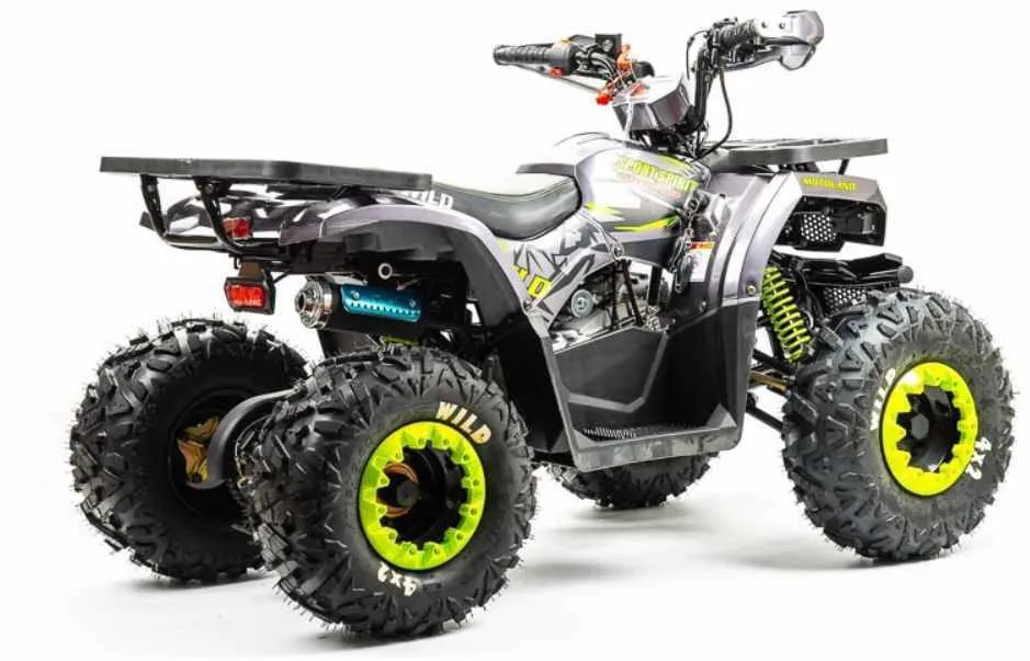 Квадроцикл Motoland 125 WILD (2020 г.)