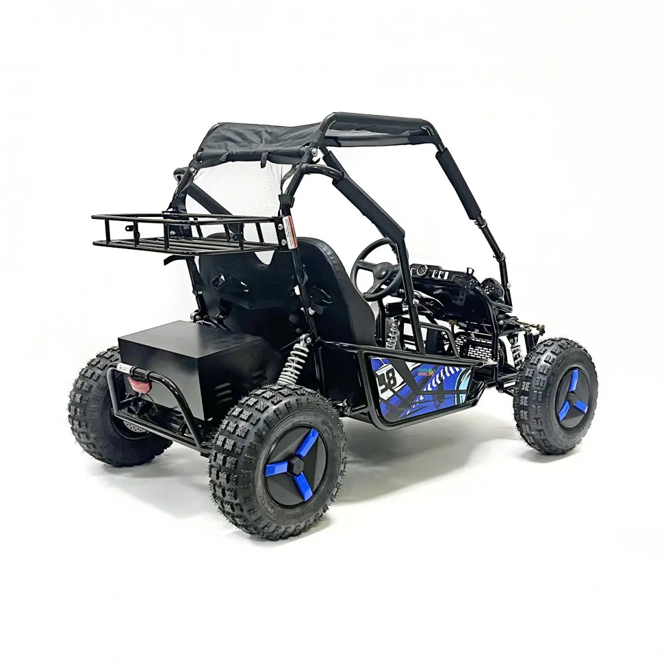 Багги Green Camel Намиб T10 (60V 2000W R8 Дифф)