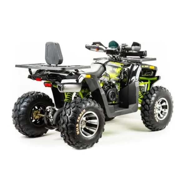 Квадроцикл Motoland 200 WILD TRACK PRO