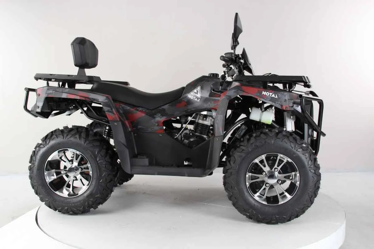 Квадроцикл Motax Grizlik 300