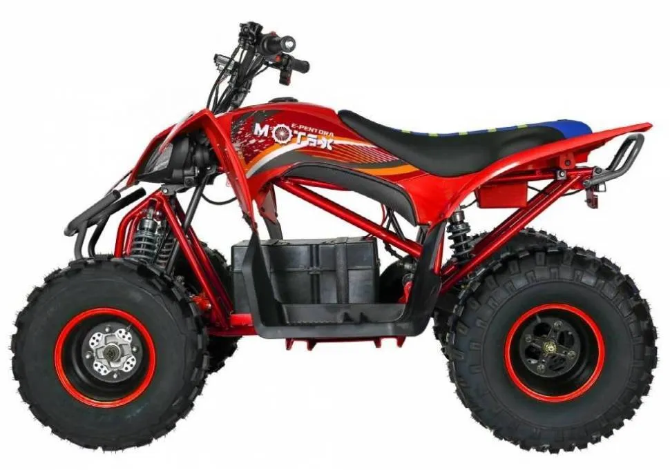 Электроквадроцикл MOTAX E-PENTORA 1500W