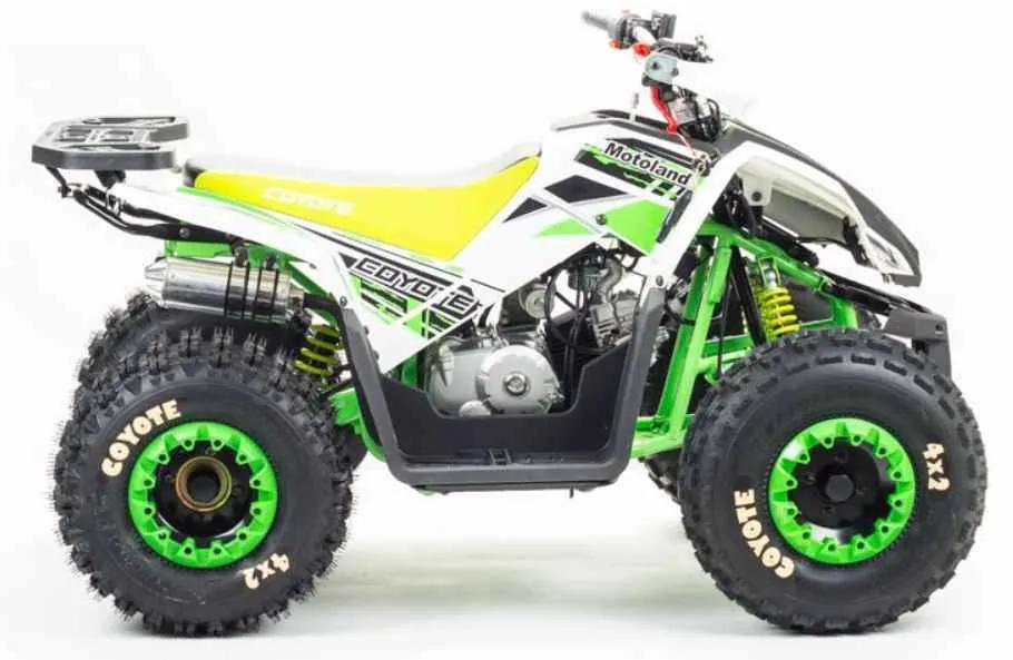Квадроцикл Motoland 125 COYOTE