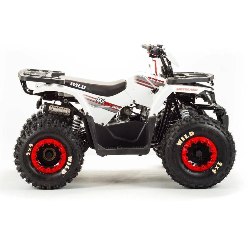 Квадроцикл Motoland 125 WILD A