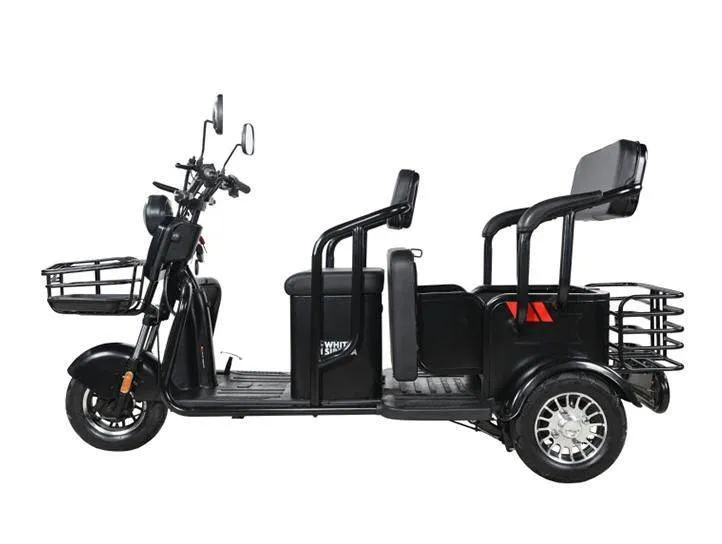 Электротрицикл WHITE SIBERIA SIBTRIKE R 2000W
