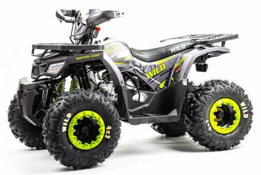 Квадроцикл Motoland 125 WILD (2020 г.)