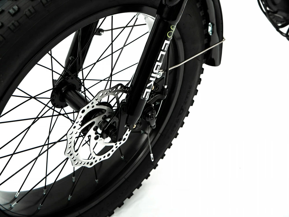 Электровелосипед Elbike Taiga 1 Twix
