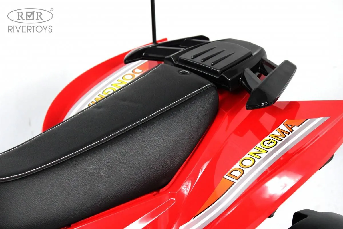 Детский электроквадроцикл Rivertoys P333PP