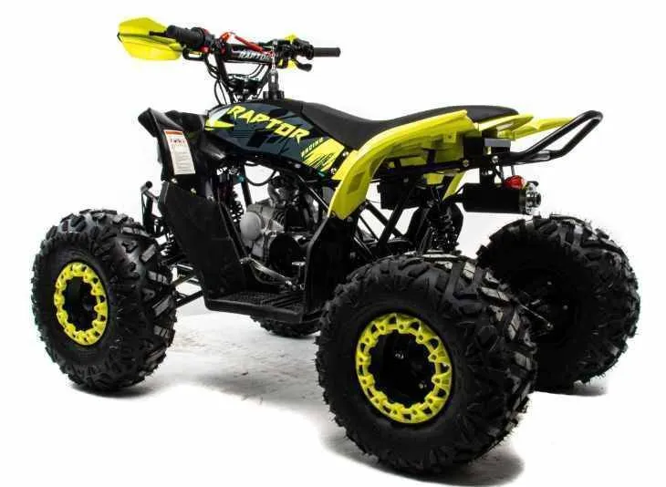 Квадроцикл Motoland 125 RAPTOR A