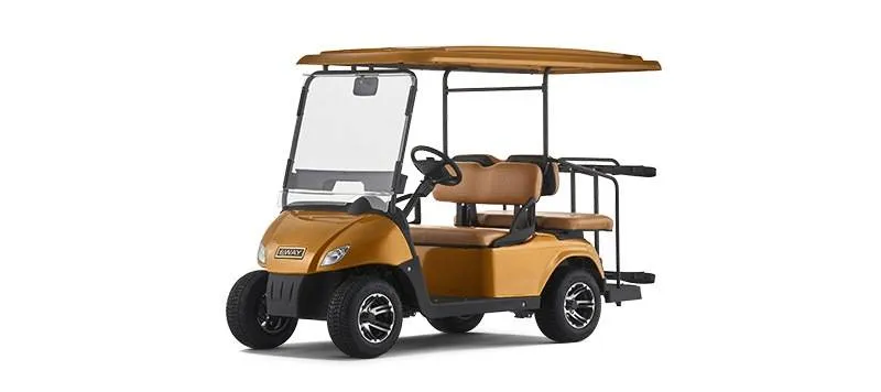 Гольф кар EWAY HM2+2