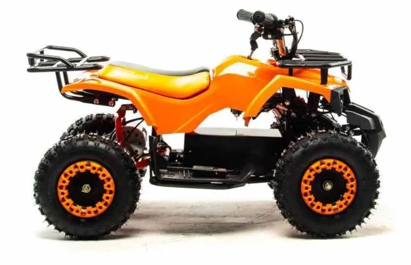 Электроквадроцикл Motoland ATV E009 1000W