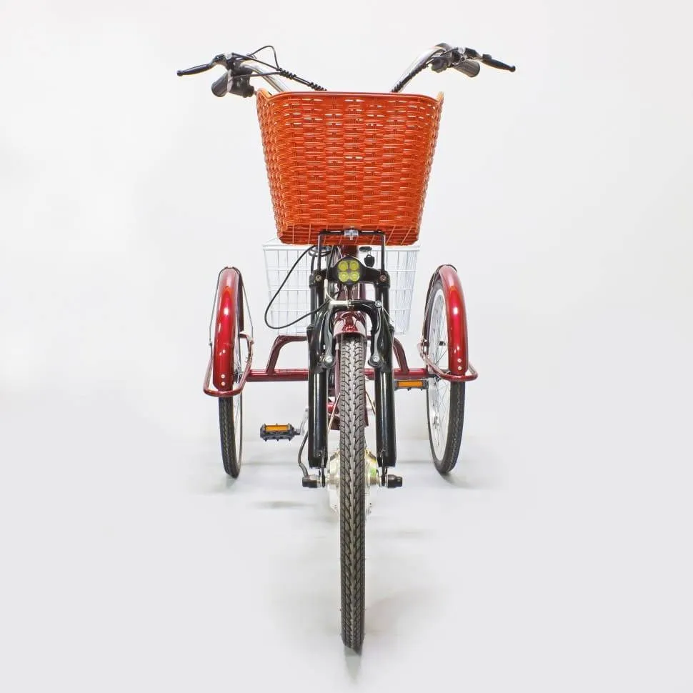 Электровелосипед Green Camel Трайк-24