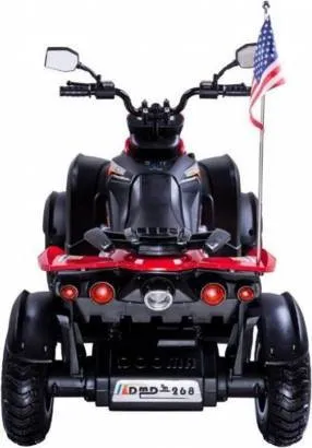 Детский электроквадроцикл Rivertoys P222PP