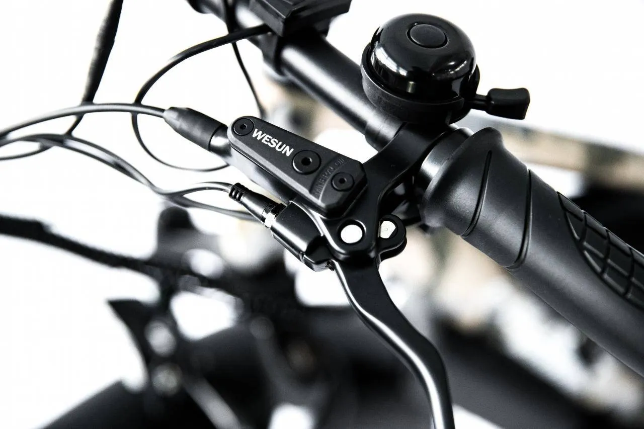 Электровелосипед Elbike Phantom Twix