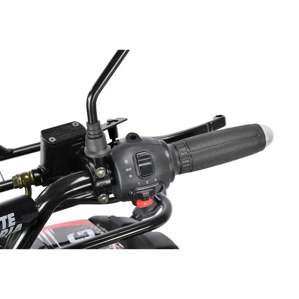 Электроквадроцикл WHITE SIBERIA SNEG Pro 3000W