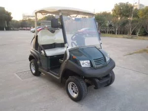 ГОЛЬФКАР Voltus CLUB 2