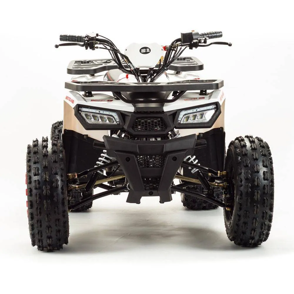 Квадроцикл Motoland 125 WILD A