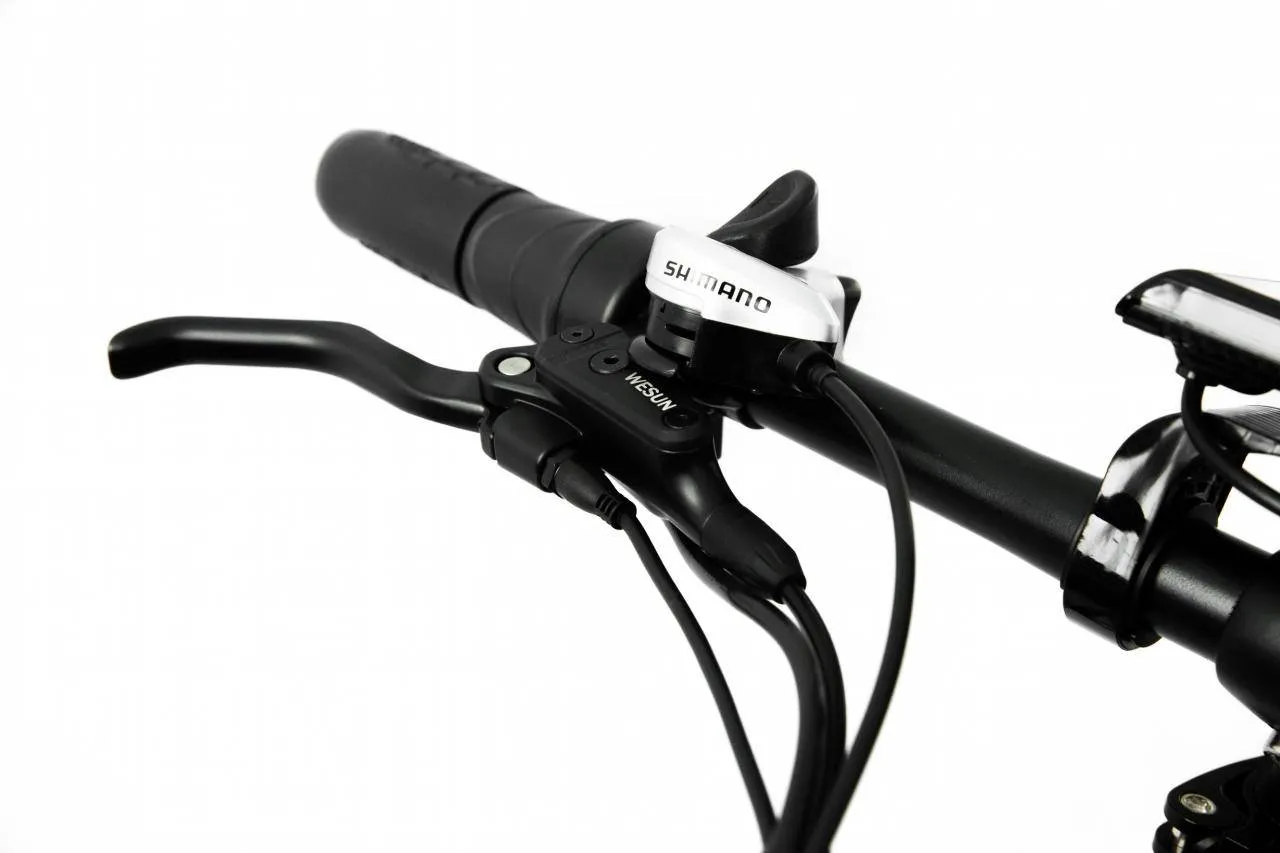 Электровелосипед Elbike Taiga 1 Twix
