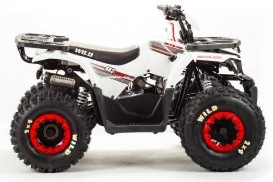 Квадроцикл Motoland 125 WILD (2020 г.)