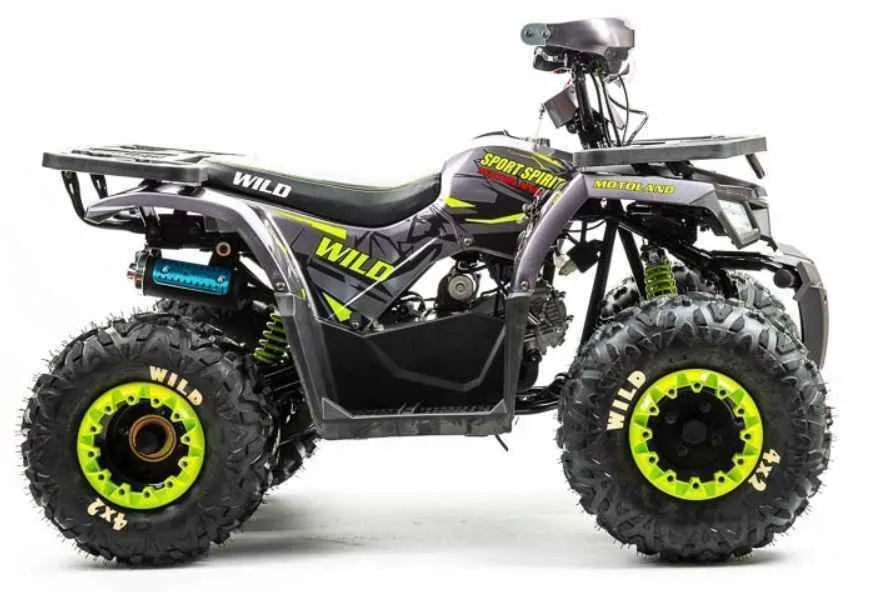 Квадроцикл Motoland 125 WILD A