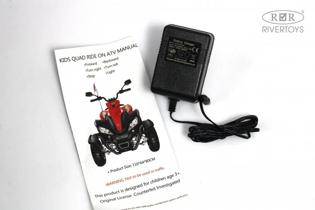 Детский электроквадроцикл Rivertoys P333PP